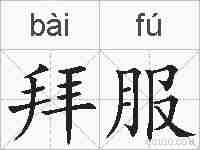 拜服的拼音