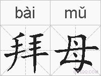 拜母的拼音