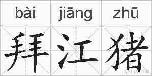 拜江猪的拼音
