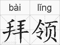 拜领的拼音