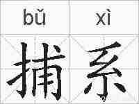 捕系的拼音