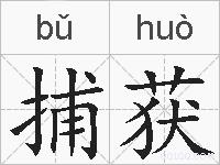 捕获的拼音