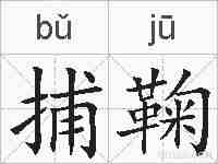 捕鞠的拼音