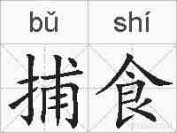 捕食的拼音