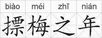 摽梅之年的拼音