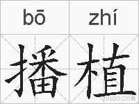 播植的拼音