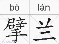 擘兰的拼音