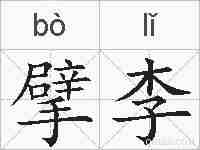 擘李的拼音