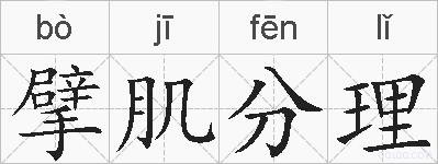 擘肌分理的拼音