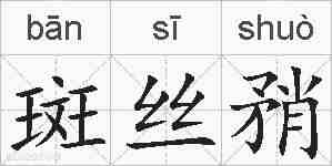 斑丝矟的拼音