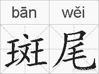 斑尾的拼音