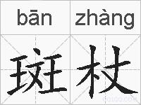 斑杖的拼音