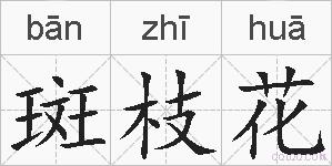 斑枝花的拼音