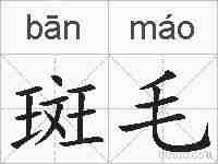 斑毛的拼音