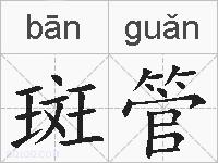 斑管的拼音