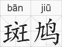 斑鸠的拼音