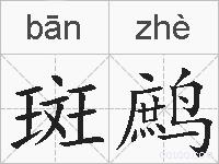 斑鹧的拼音