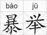 暴举的拼音