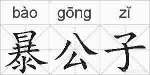 暴公子的拼音