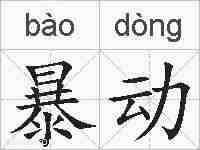 暴动的拼音