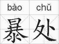 暴处的拼音