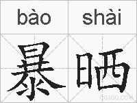 暴晒的拼音