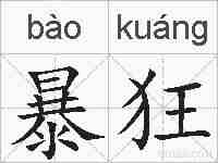 暴狂的拼音