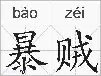 暴贼的拼音