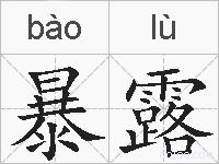 暴露的拼音