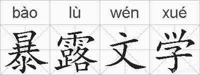 暴露文学的拼音