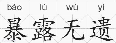 暴露无遗的拼音