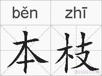 本枝的拼音