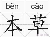 本草的拼音