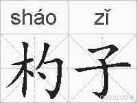 杓子的拼音