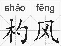 杓风的拼音