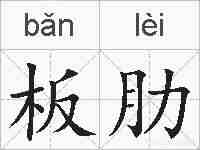 板肋的拼音