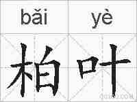 柏叶的拼音
