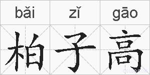 柏子高的拼音