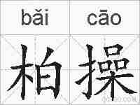 柏操的拼音