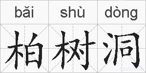 柏树洞的拼音