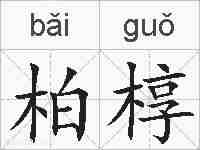 柏椁的拼音
