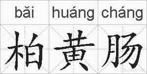 柏黄肠的拼音