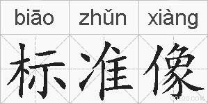 标准像的拼音