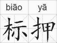 标押的拼音