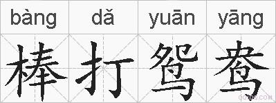 棒打鸳鸯的拼音