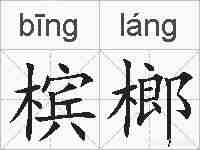 槟榔的拼音