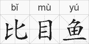 比目鱼的拼音