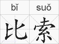 比索的拼音