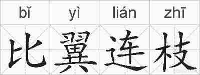 比翼连枝的拼音