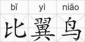 比翼鸟的拼音